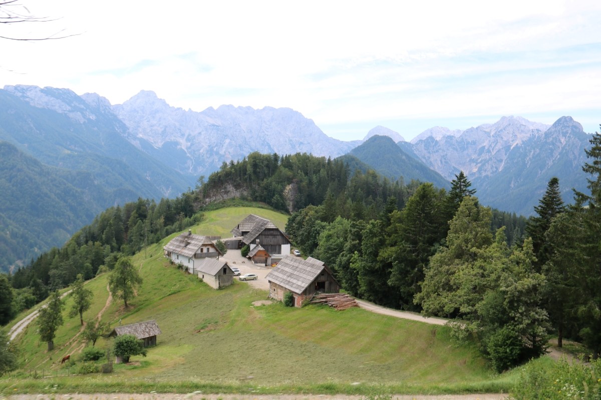Solčavska panoramska cesta