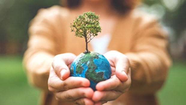 World Environment Day, Earth globe ball with growing tree in woman hand