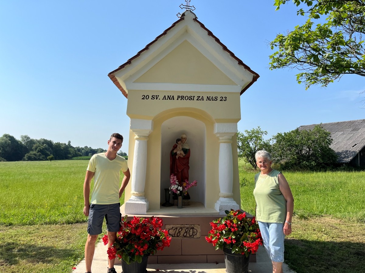 Bine Družovec