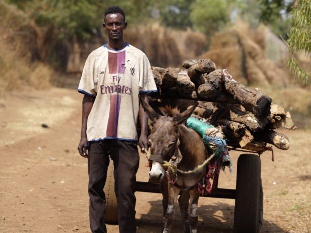 Joze Andolsek; Etiopija