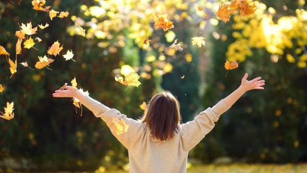 Girl plays with maple leaves and throws them up