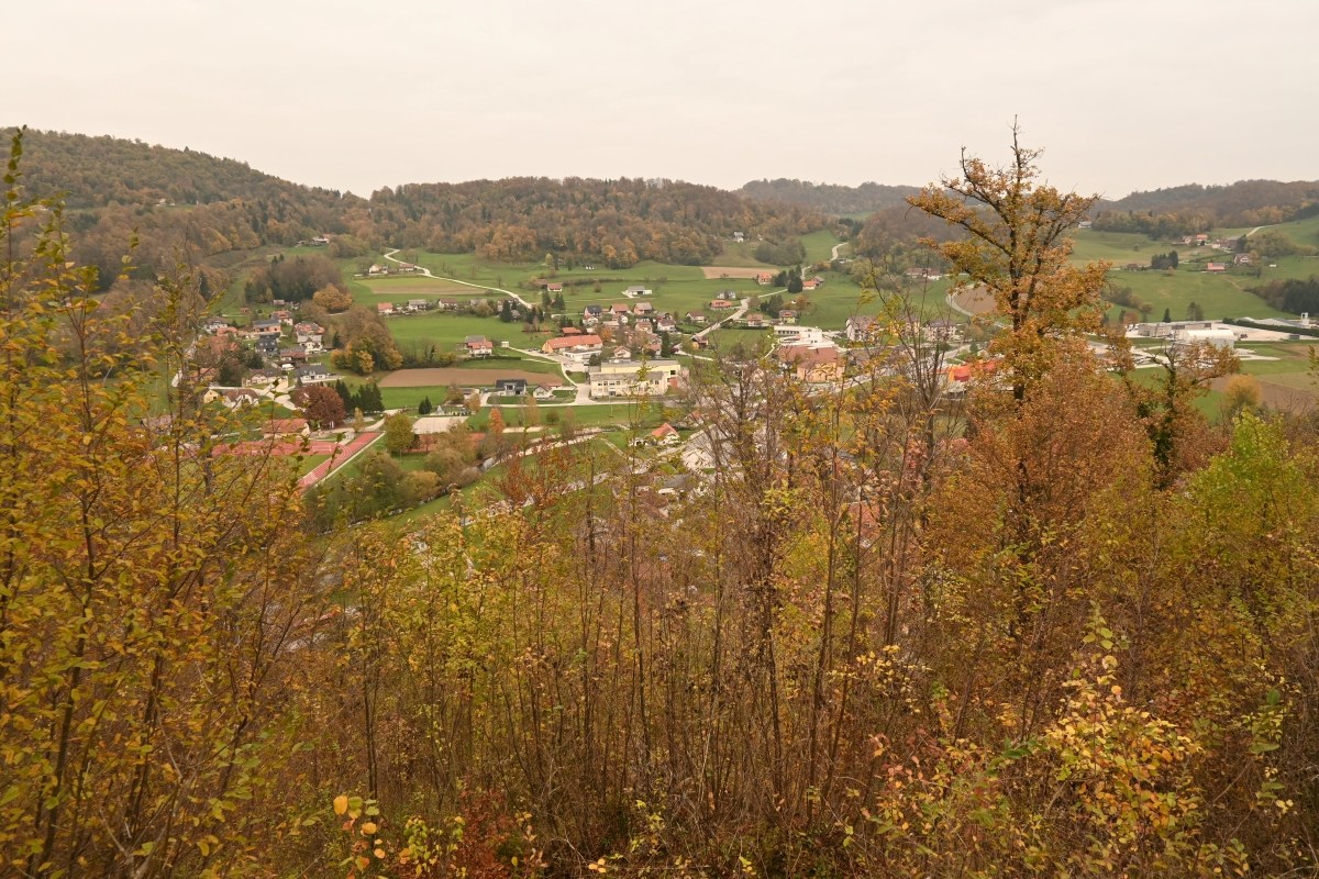 Kozje
