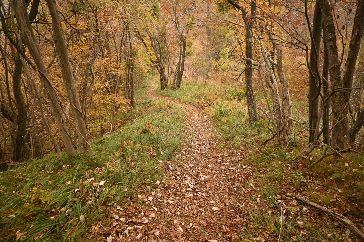 Pilštanj
