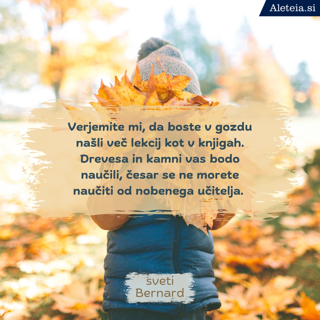 Misli svetnikov o naravi