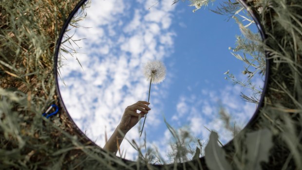 Round Mirror In The Grass