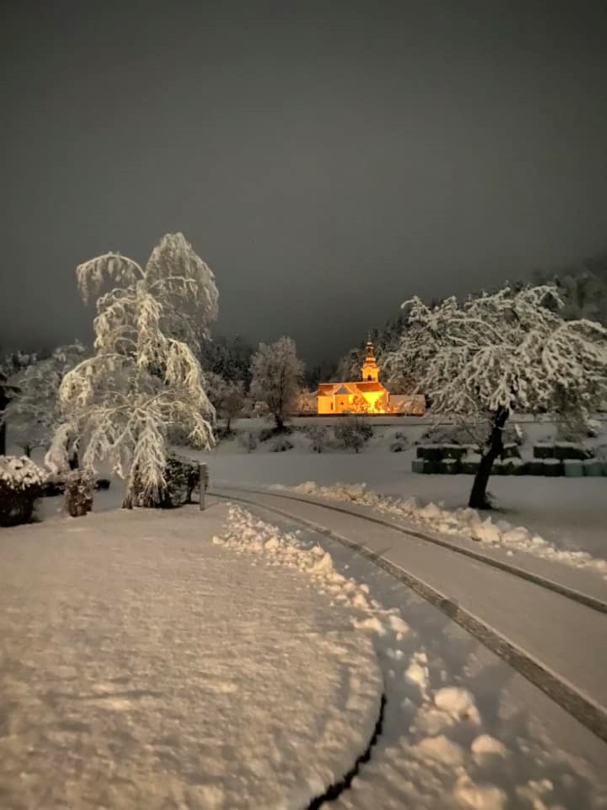 Sneg je pobelil Slovenijo