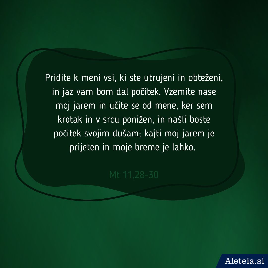 Misli za brezskrbne božične praznike