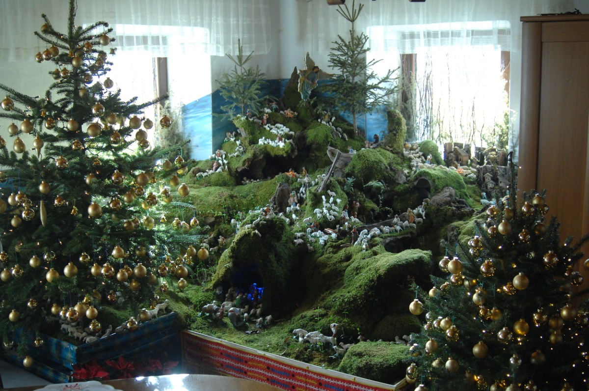 Božična epizoda Reflektorja o jaslicah