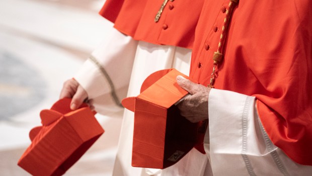 VATICAN-POPE-CONSISTORY-CARDINALS-2024