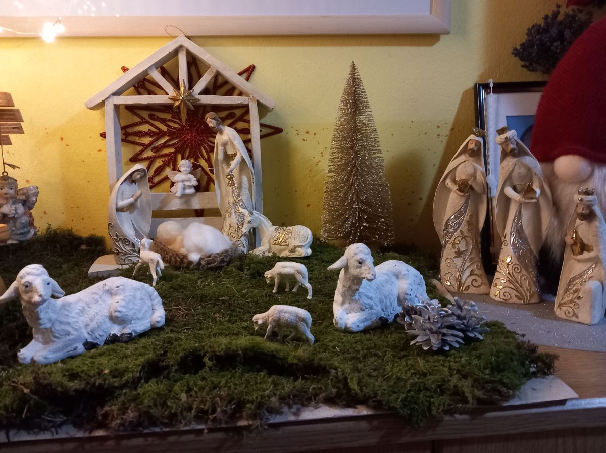 Jaslice Aleteijinih bralcev 2024 2. del