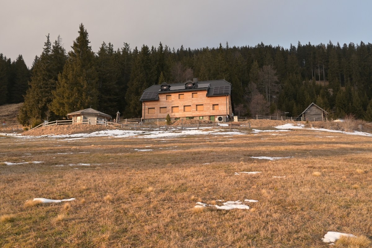 Smrekovec