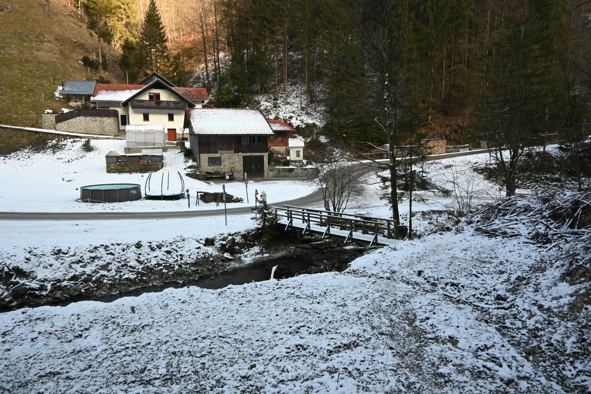 Smrekovec