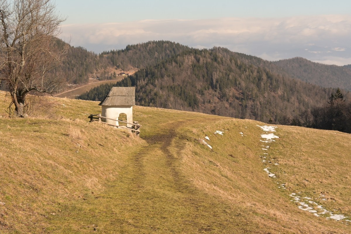 Smrekovec