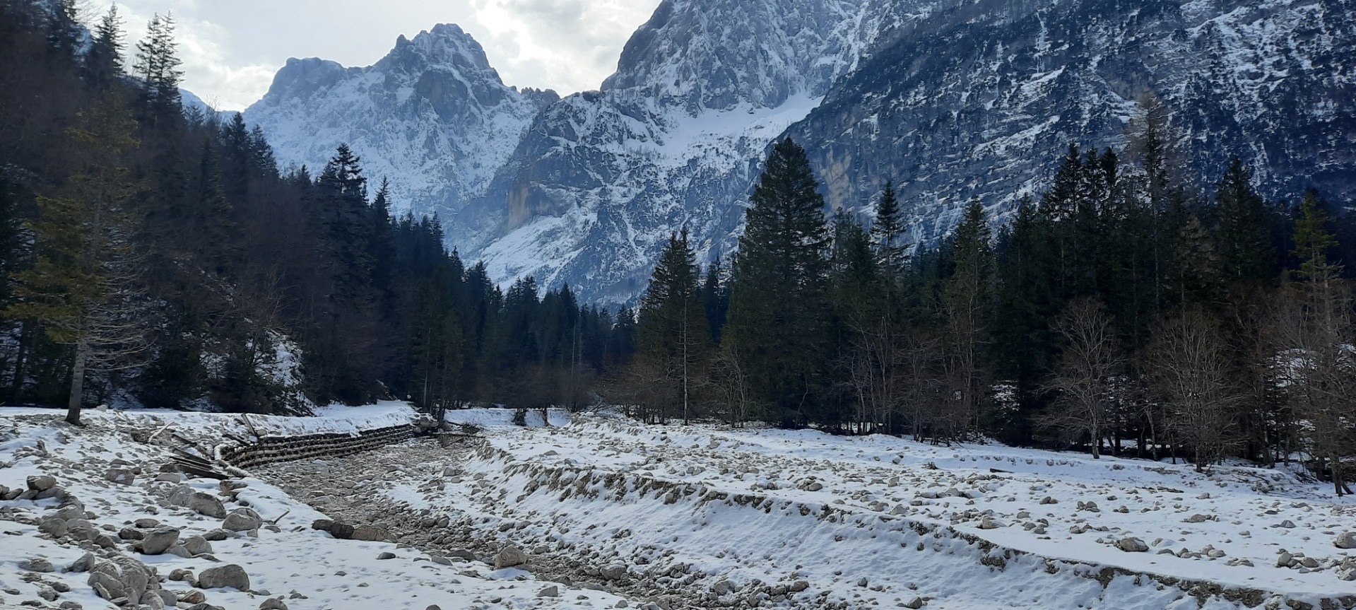 Krnica