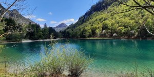 Spomladanski izlet: raziščite naravne lepote doline Završnica