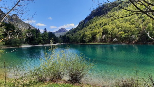 Zavrsnica