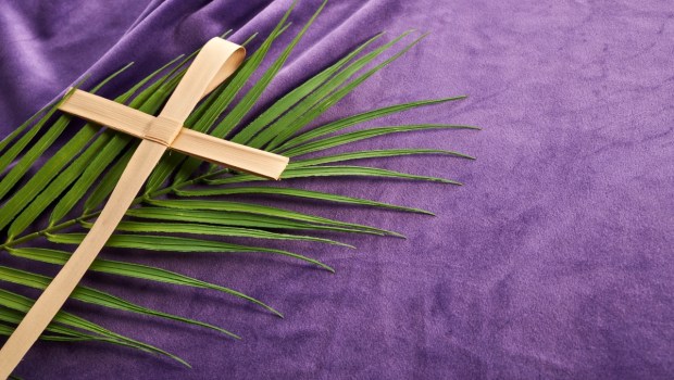 Lent season, Holy week and Good friday concept. Palm leave and cross on purple background