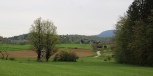 Na sprehod skozi zgodbo: Machova učna pot pod Gorjanci