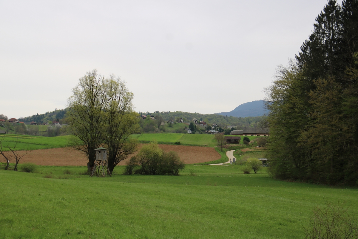 Machova pot