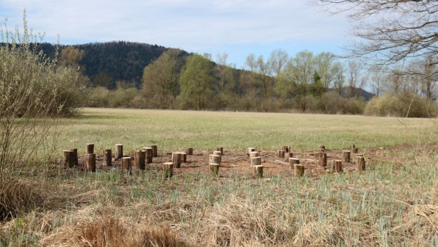 Iski morost
