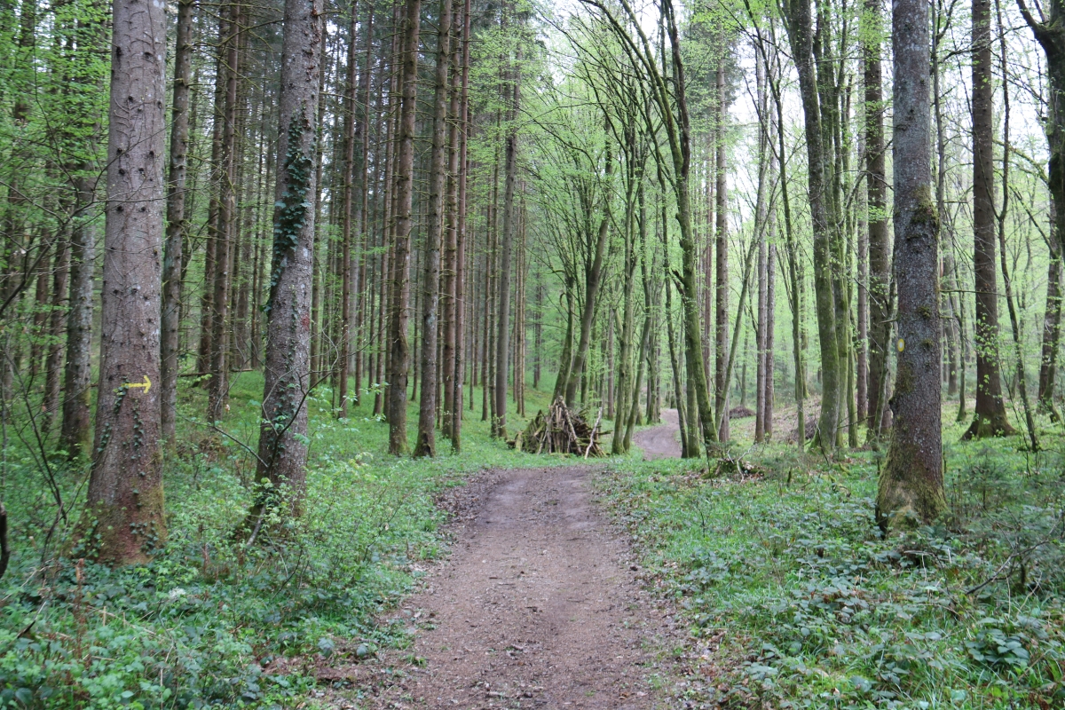 Machova pot