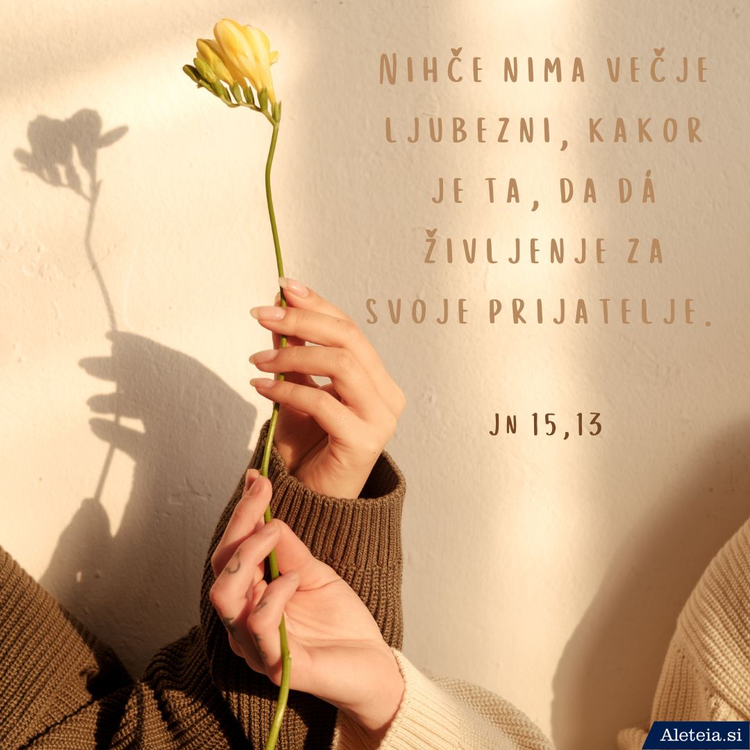 Citati o prijateljstvu