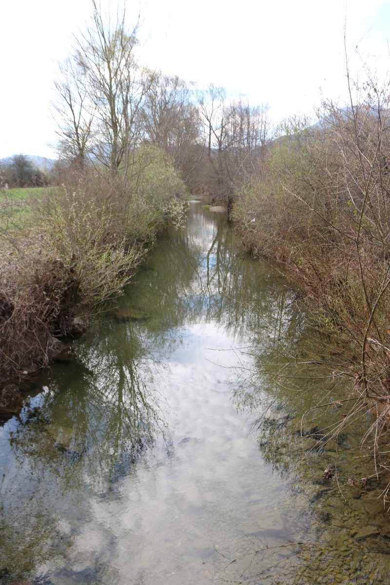 Iski morost