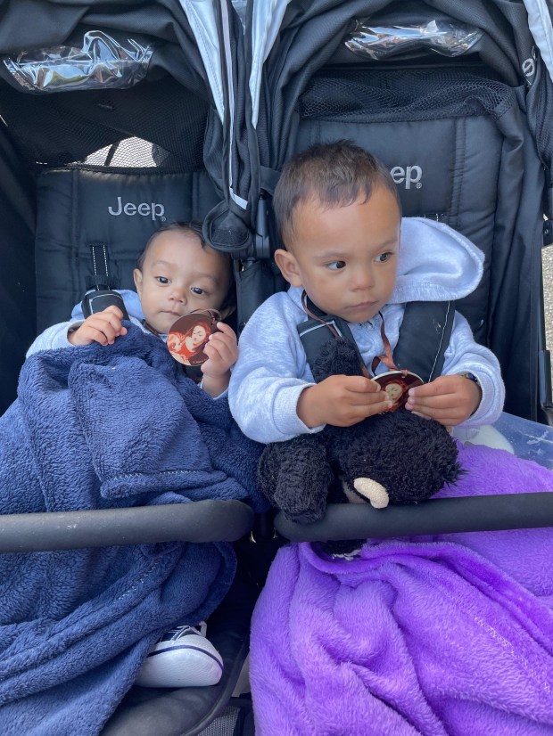 Berenice and Tacles