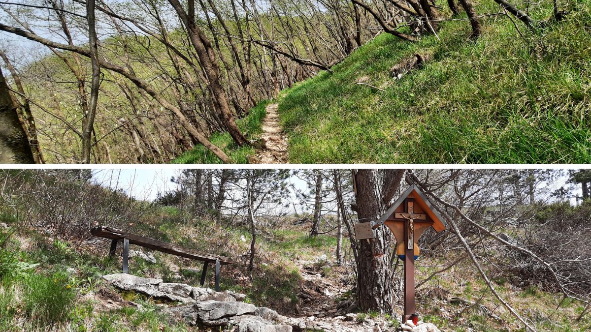 {"rendered":"Gora nad Ajdov\u0161\u010dino"}