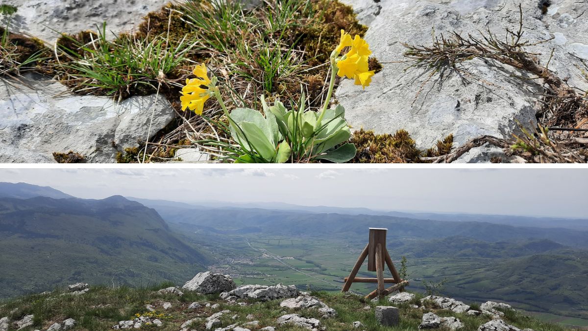 Gora nad Ajdovscino