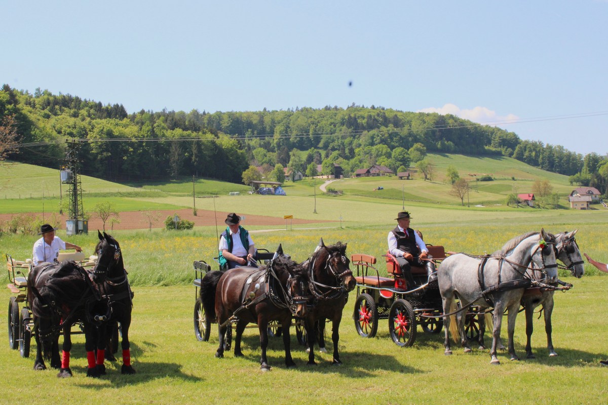 {"rendered":"Praznovanje ob novi kapelici v Temenici"}
