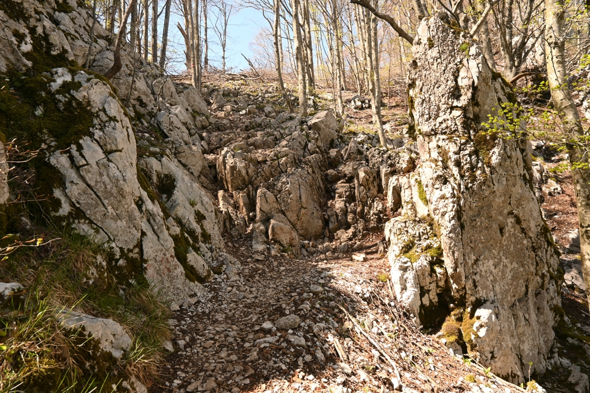 ucka