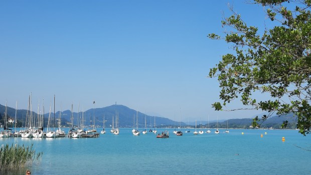 Vrbsko jezero