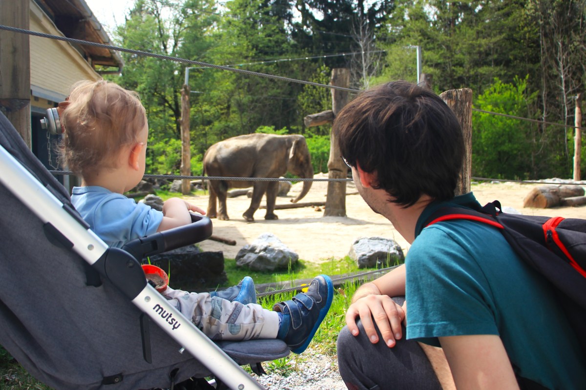 {"rendered":"Zakonca Pre\u0161ern v fotografijah"}