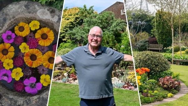 The Garden of John Massey