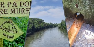 Čudovit kolesarski izlet v osrčju Pomurja