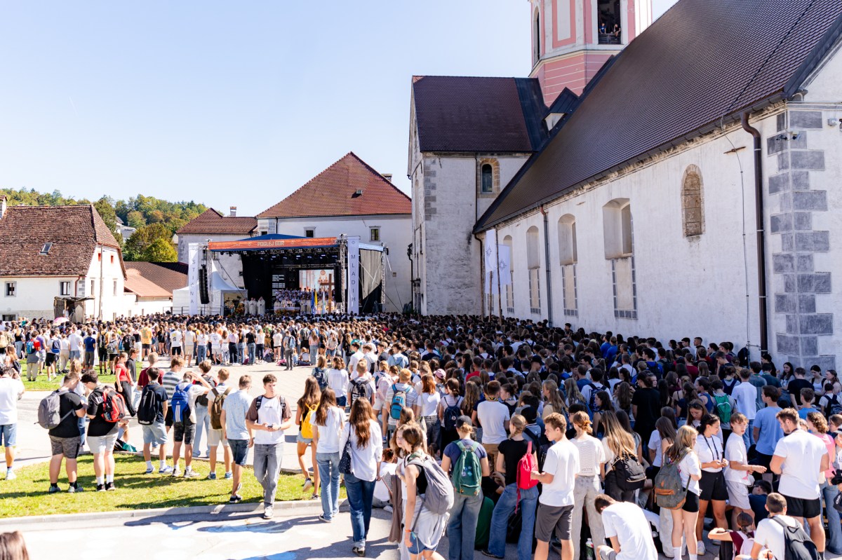 Stična mladih