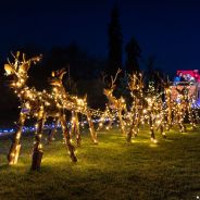 Stickers Item image #8