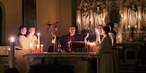 Imate tudi pri vas zornice?