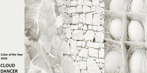 Barva leta 2026: Nedolžen odtenek, ki je že takoj vzbudil nemalo ogorčenja