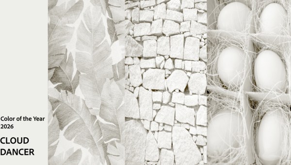 Cloud Dancer, 2026 color of the year
