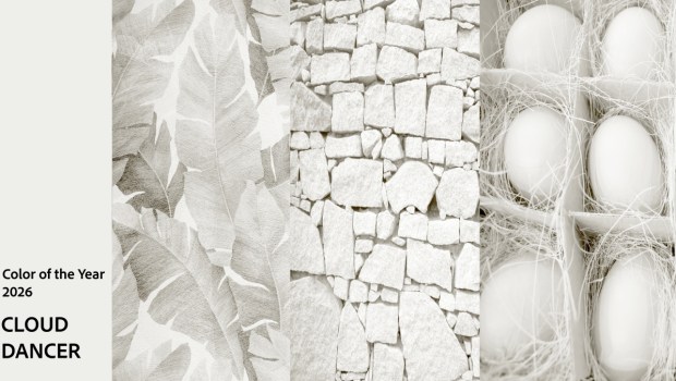 Cloud Dancer, 2026 color of the year