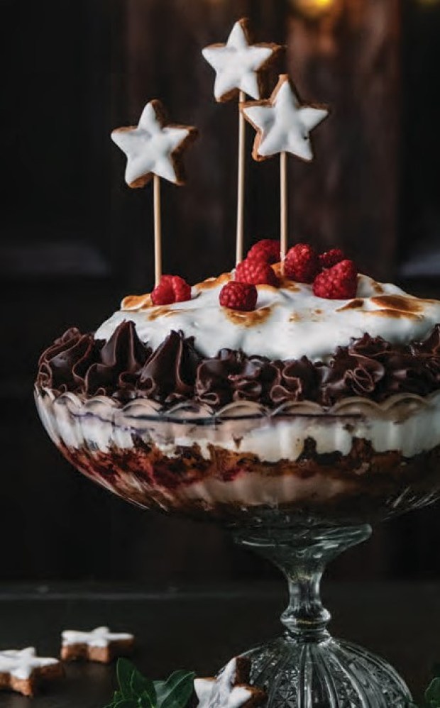 Čokoladno-malinov trifle