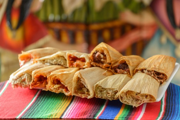 Colorful Traditional Mexican food dishes tamales
