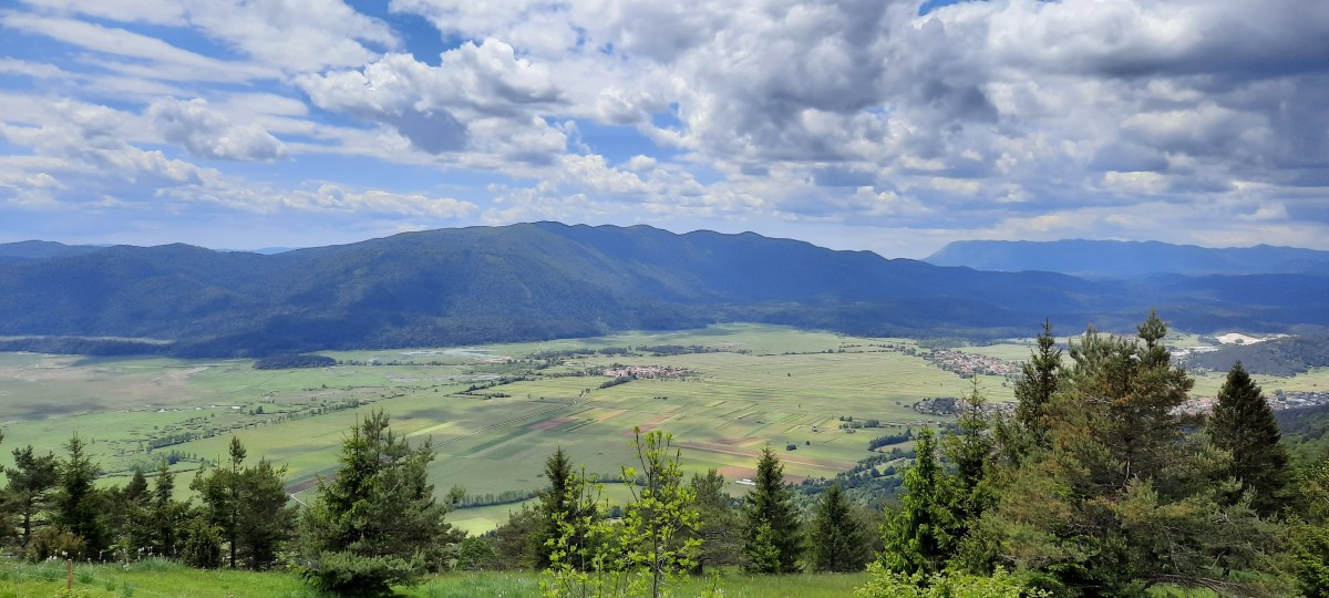 {"rendered":"Slivnica nad Cerknico"}