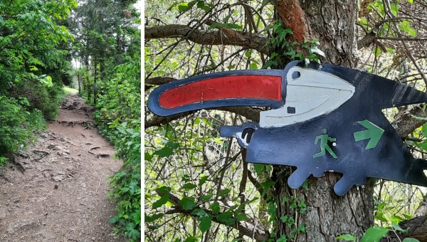 Corner Item Image - Privoščite si družinski izlet na skrivnostno Slivnico