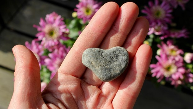 A hand with a heart-shaped stone