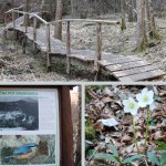 Doživetje Grabnarice: izlet po sledeh vode in zgodovinskih ostankov