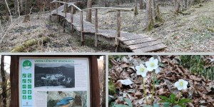 Doživetje Grabnarice: izlet po sledeh vode in zgodovinskih ostankov