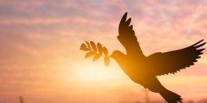 Molitev za mir na Bližnjem vzhodu